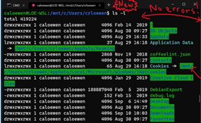 微软推出Windows 10 20H1 Build 18980版 WSL2现已支持ARM64架构的设备