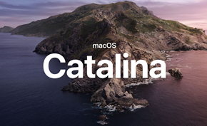 [图文教程] 通过VM快速安装macOS Catalina (10.15)版虚拟机