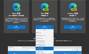微软推出新的Microsoft Edge Dev开发版优化Linux系统的标签页渲染