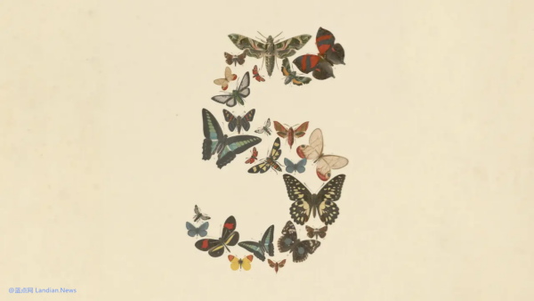 应美国政府网络安全风险要求 Claude Fable/Mythos 5模型已暂停访问