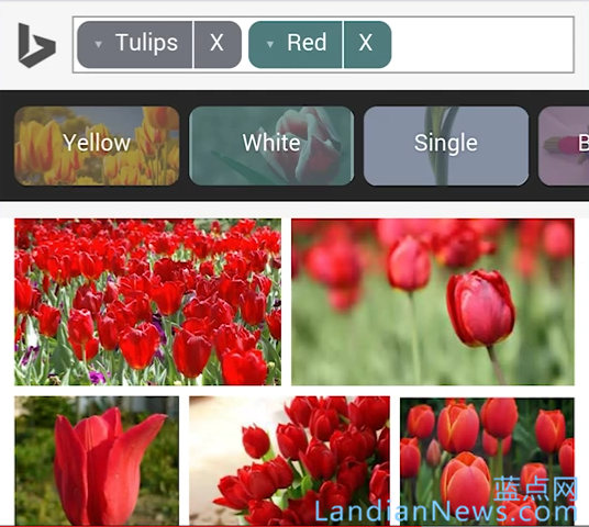 微软为iOS和Android改善Bing图片搜索的用户体验 让你更快的找到喜欢的图片